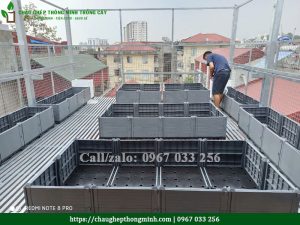 Chậu ghép thông minh trồng cây