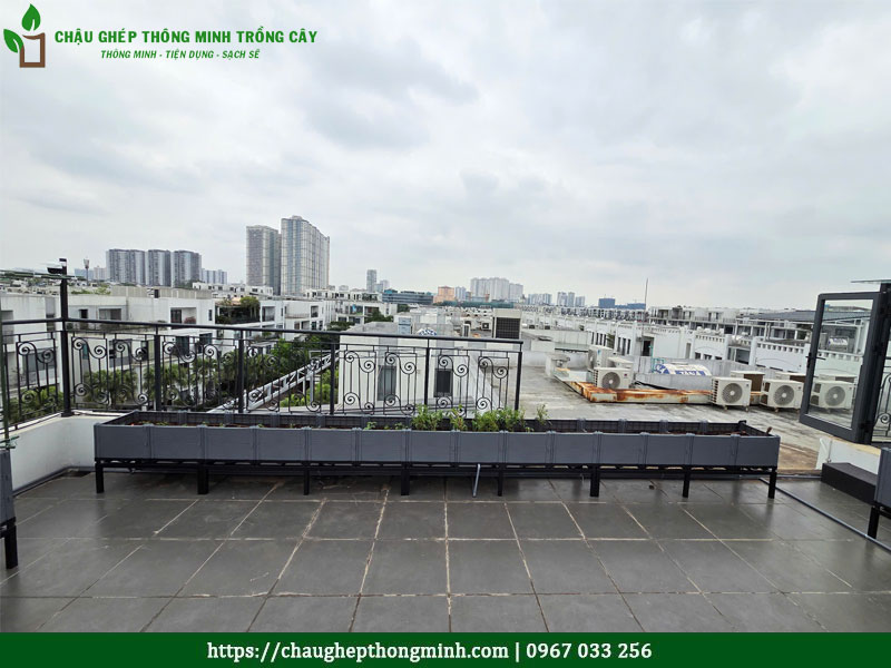 Chậu Ghép Thông Minh trồng cây