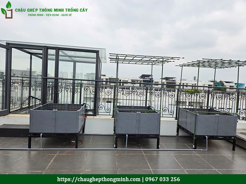 Chậu Ghép Thông Minh trồng cây