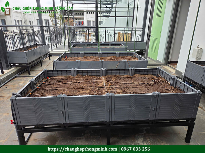 Chậu Ghép Thông Minh trồng cây