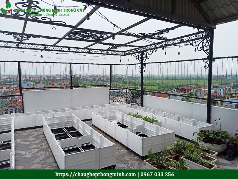 Chậu ghép thông minh trồng cây