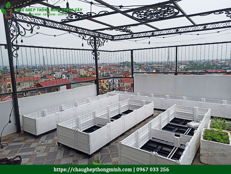 Chậu ghép thông minh trồng cây