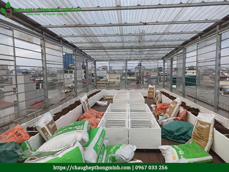 Chậu ghép thông minh trồng cây
