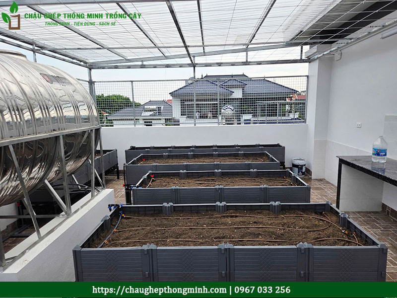 Chậu ghép thông minh trồng cây