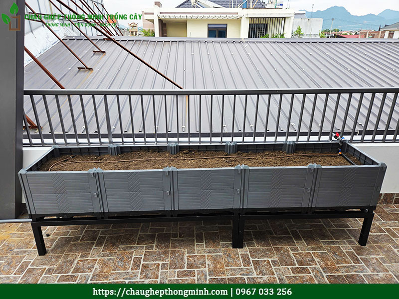 Chậu ghép thông minh trồng cây