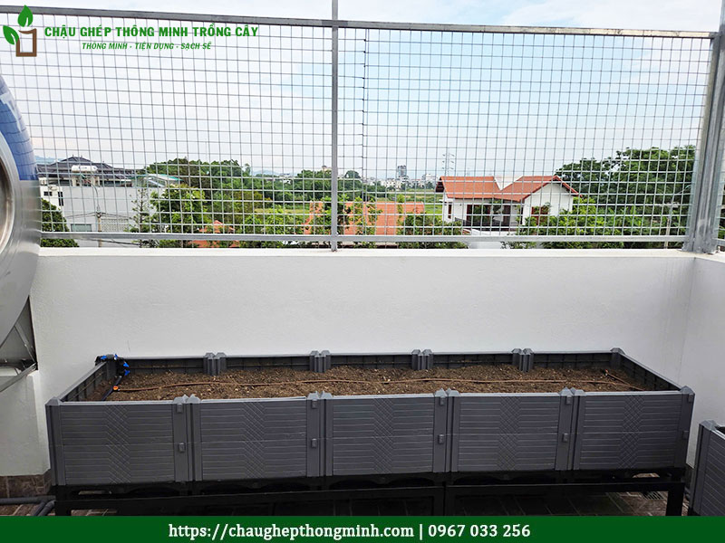 Chậu ghép thông minh trồng cây