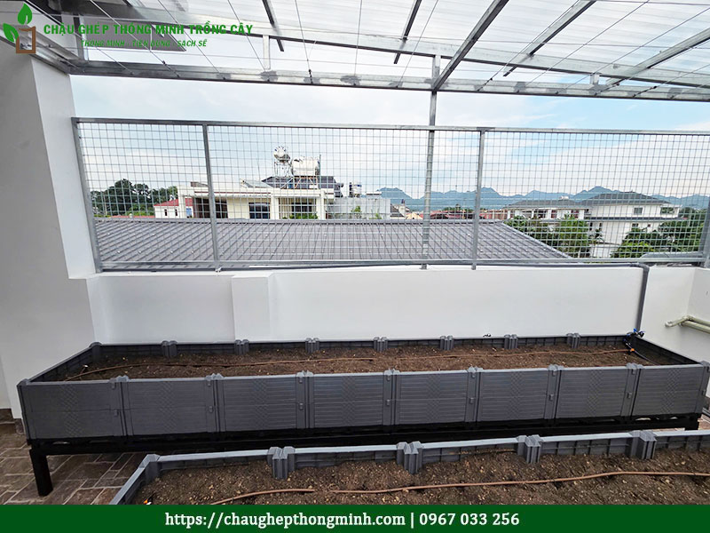 Chậu ghép thông minh trồng cây
