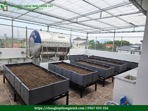 Chậu ghép thông minh trồng cây
