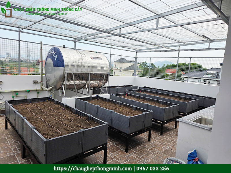 Chậu ghép thông minh trồng cây
