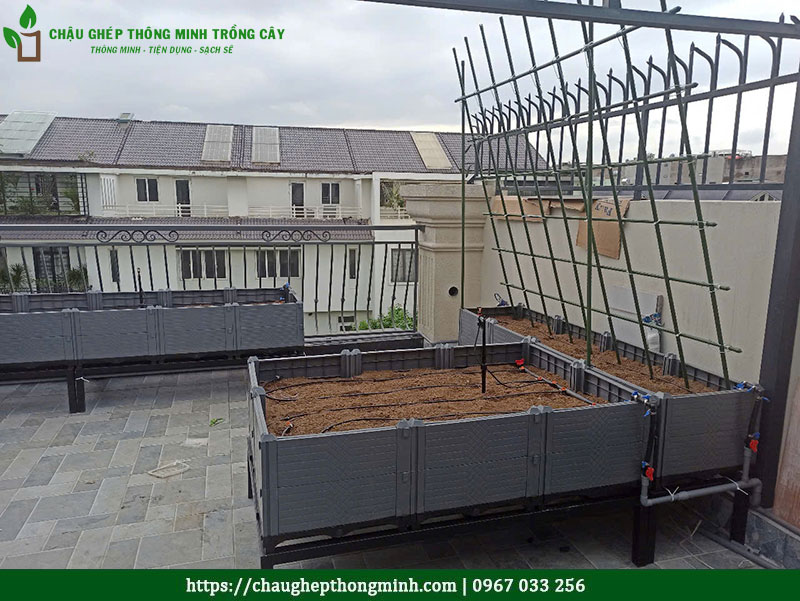 Chậu trồng cây thông minh nhựa HDPE cao cấp