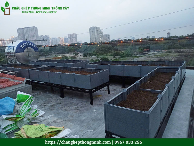Chậu ghép thông minh trồng rau sạch
