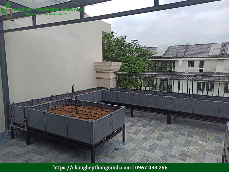 Chậu trồng cây thông minh nhựa HDPE cao cấp