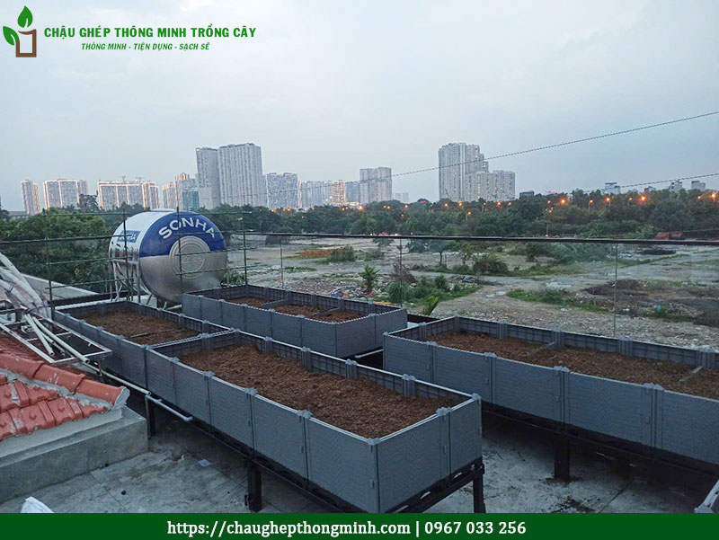Chậu ghép thông minh trồng rau sạch
