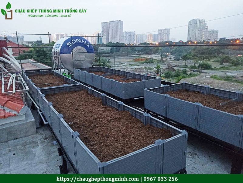 Chậu ghép thông minh trồng rau sạch