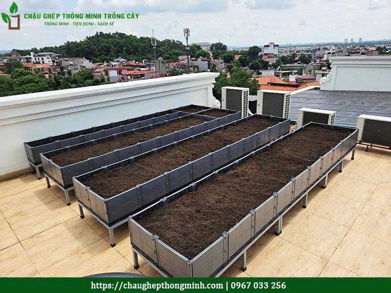 Chau ghep trong rau thong minh 12