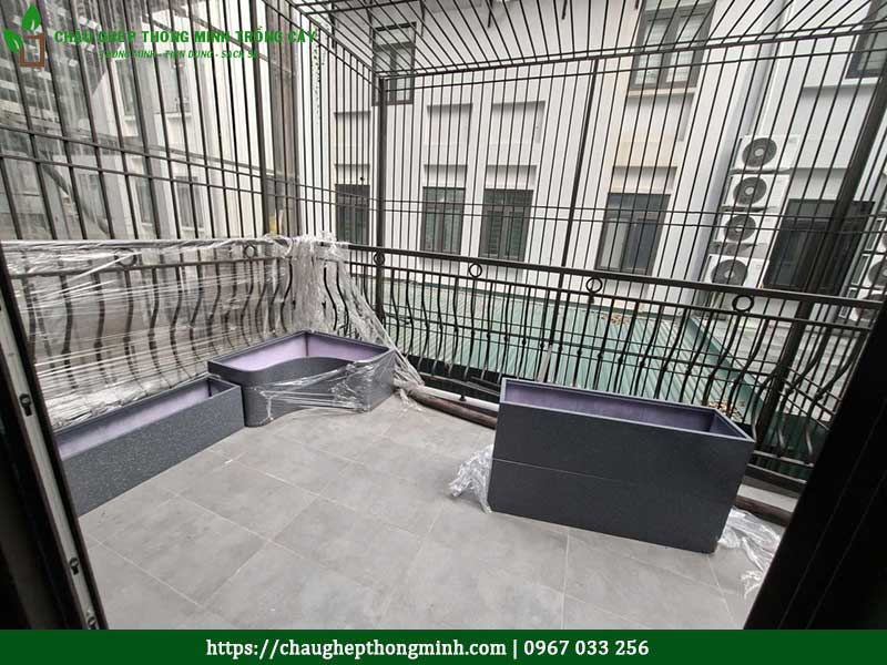 Chau ghep trong rau thong minh 18