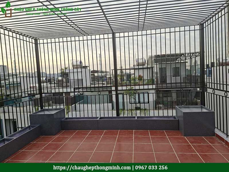 Chau ghep trong rau thong minh 19