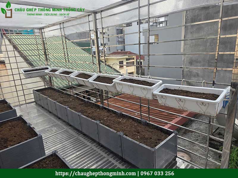 Chau ghep trong rau thong minh 21