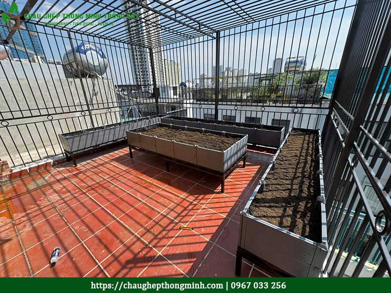 Chau ghep trong rau thong minh 3