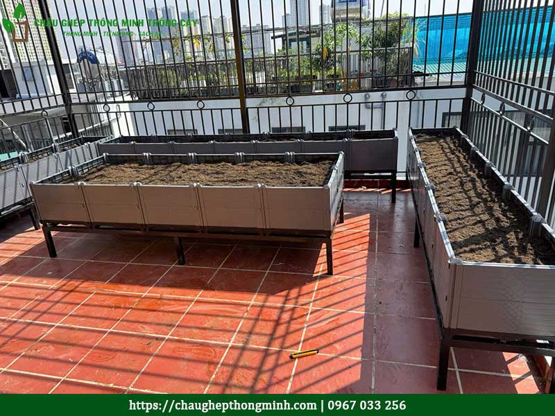 Chau ghep trong rau thong minh 4